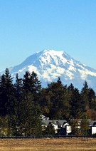 Dev3 with wiklink Review