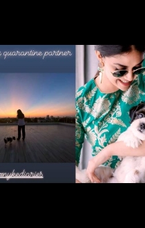 Web Series Telu Review